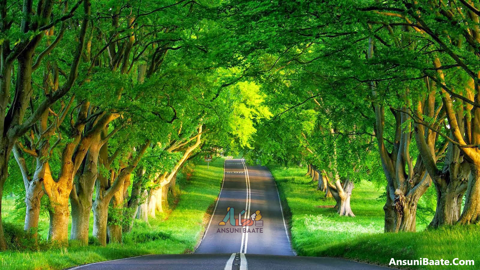 Les mots Intérrogatifs